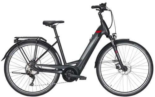 Pegasus Premio Evo 10 Lite