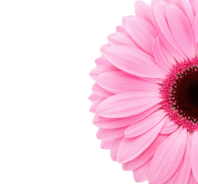 Wellnessreise Hintergrund