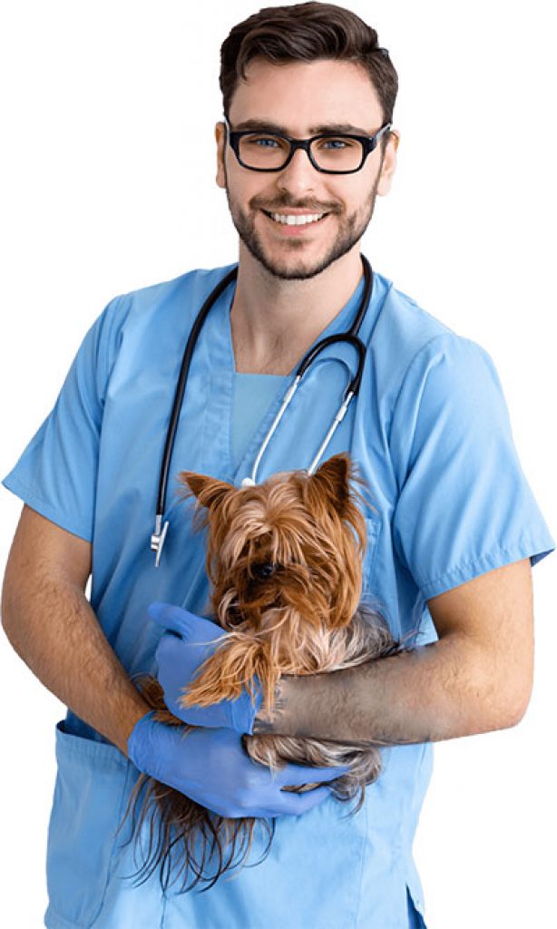 Tierärztliche Unterstützung