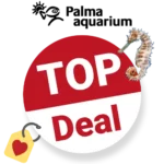 Kurzurlaub und Kurzreisen Gutscheine 3 Palma Aquarium Gutschein Top Deal