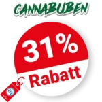31% Cannabuben Rabatt – Sale