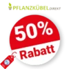 50% Pflanzkübel Direkt Rabatt – Sale