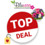 Bluvesa Gutschein Top Deal