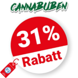 31% Cannabuben Rabatt – Sale