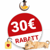30€ Dogtisch Academy Gutschein