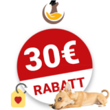 30€ Dogtisch Academy Gutschein