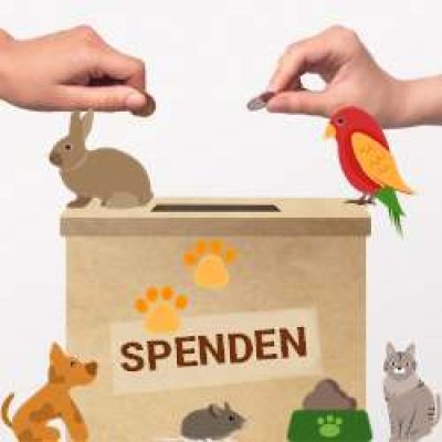 Für Tiere spenden