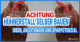 Hühnerstall selber bauen: Ideen, Anleitungen und Sparpotenzial