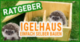 Bauanleitung für ein perfektes Igelhaus