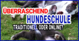 Kann eine Online-Hundeschule die traditionelle Hundeschule ersetzen?
