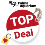 Palma Aquarium Gutschein Top Deal