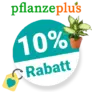 10% PflanzePlus Gutschein – Newsletter