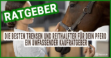 Die besten Trensen und Reithalfter für dein Pferd: Ein umfassender Kaufratgeber