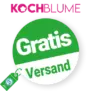 4,95€ Kochblume Rabatt – Gratis Versand