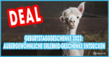 Geburtstagsgeschenke 2023: Außergewöhnliche Erlebnis-Geschenke entdecken