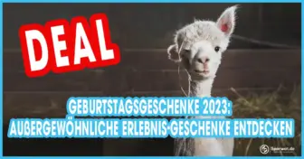Geburtstagsgeschenke 2023: Außergewöhnliche Erlebnis-Geschenke entdecken