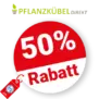 50% Pflanzkübel Direkt Rabatt – Sale